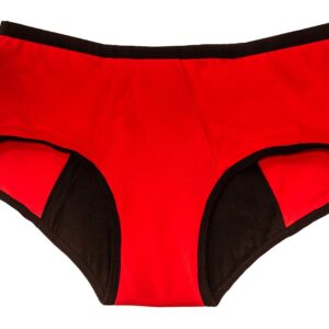 HEALTHFAB ; The Fabulous You Gopadfree Heavy Period Panty Hipster Leak Proof Underwear for Medium to Heavy Flow,Reusable for 2 Years Without Pads, Pack of 1